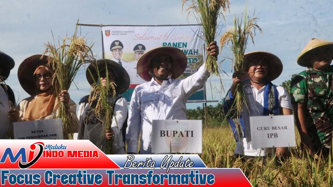 Panen Raya di Desa Wailoping, Bupati Malteng Komitmen Wujudkan Swasembada Pangan Nasional