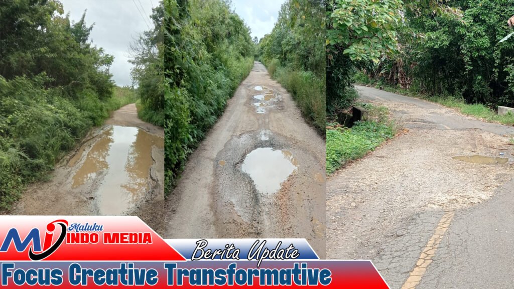 Jalan Trans Selaru Rusak dan Belum Tuntas, Adollof Sambonu Desak Perhatian DPRD Provinsi