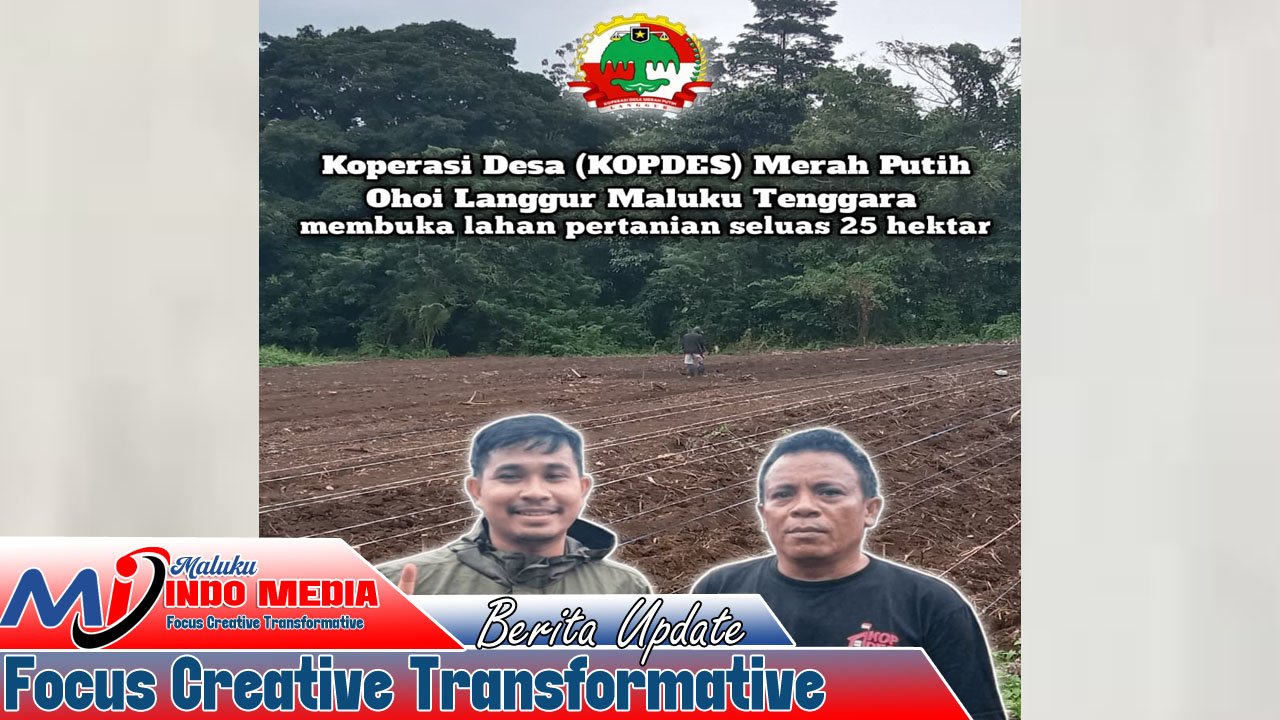 Petani Langgur Apresiasi Kopdes Merah Putih, Pertanian Jagung Jadi Harapan Baru Ketahanan Pangan