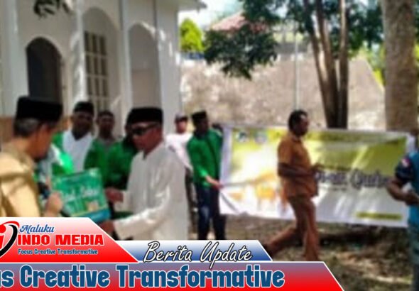 Wabup Aru Serahkan 6 Hewan Kurban ke PHBI, Dua Sapi Bantuan Presiden Prabowo