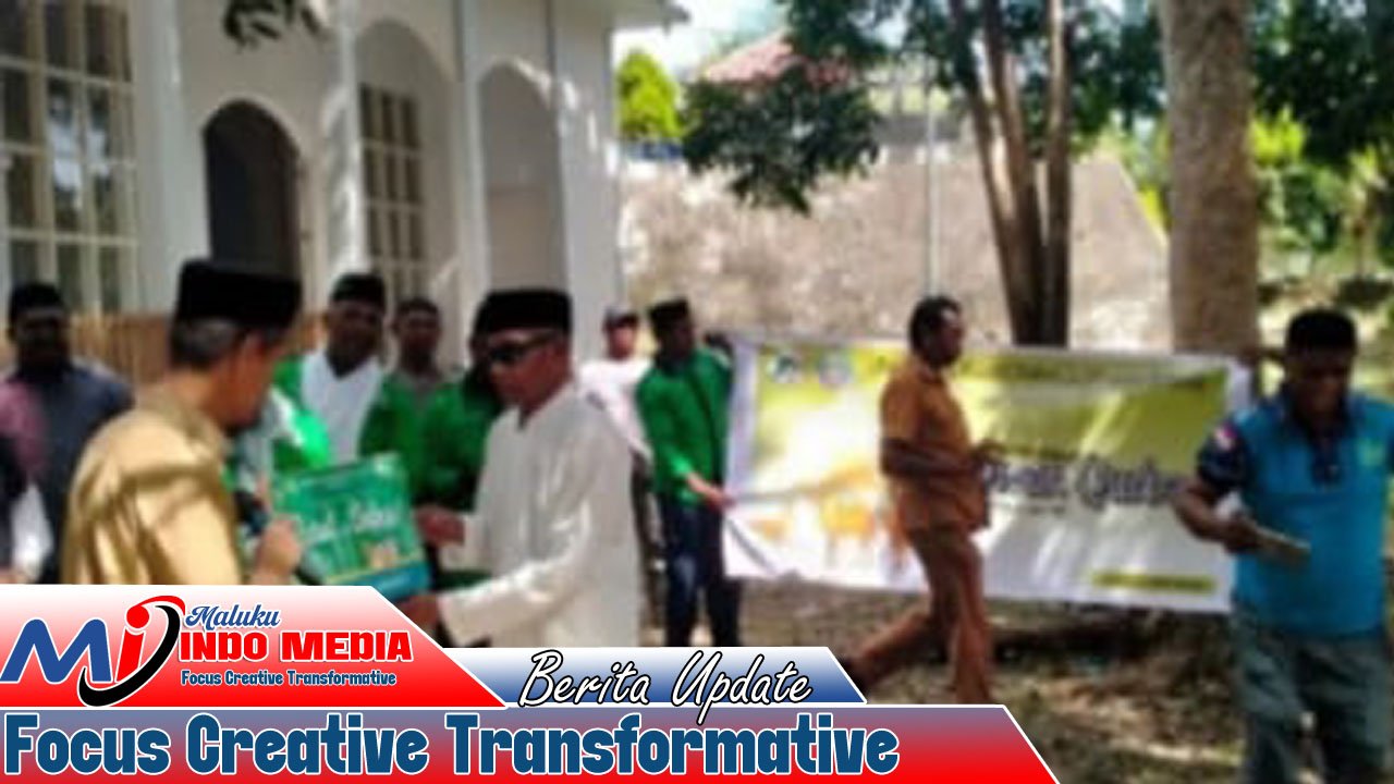 Wabup Aru Serahkan 6 Hewan Kurban ke PHBI, Dua Sapi Bantuan Presiden Prabowo