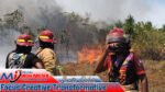 Tiga Hari, Lima Kebakaran Melanda Maluku Tenggara, Damkar Bergerak Cepat Jinakkan Api