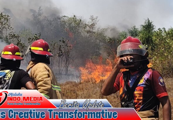 Tiga Hari, Lima Kebakaran Melanda Maluku Tenggara, Damkar Bergerak Cepat Jinakkan Api