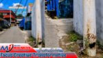 Tiang Listrik Keropos Nyaris Patah di Uritetu, Warga Pertanyakan Respons PLN Maluku