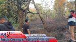 Damkar Malra Gerak Cepat, Api Lahap Sekitar 1 Hektare Lahan di Ngilngof